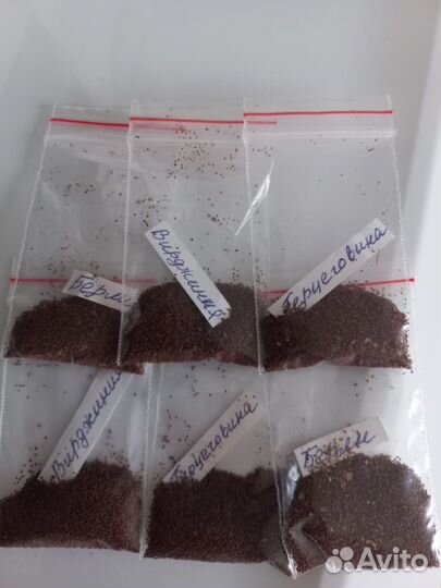 Семена табака