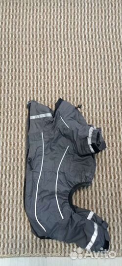 Одежда для собак