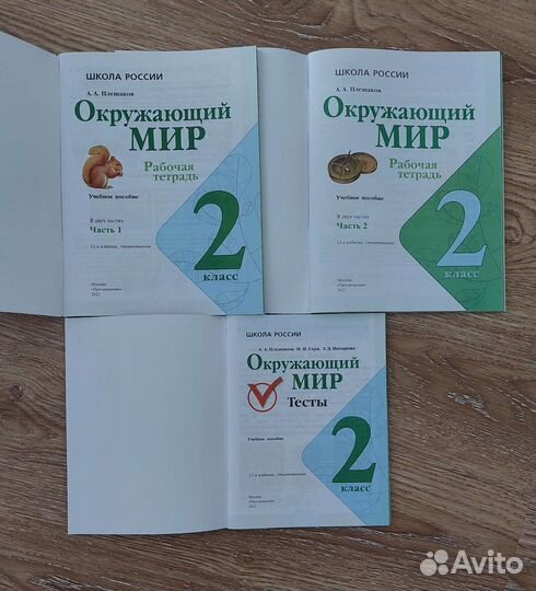 Рабочая тетрадь 2 класс Окружающий мир