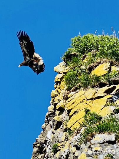 Морские прогулки на катере