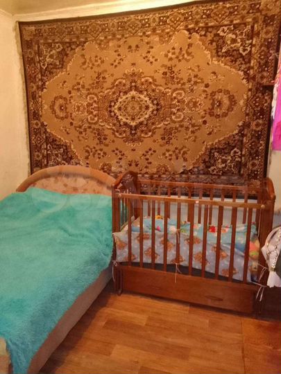 Дом 54 м² на участке 17 сот.