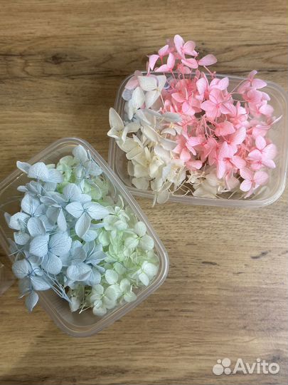 Гортензия сухоцветы, буквы