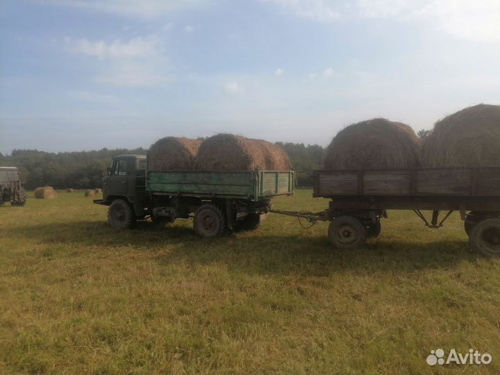 Сено в рулонах