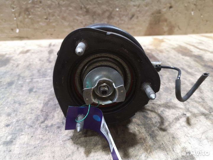 Стойка амортизатора Lexus Ls460