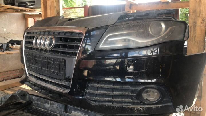 Ноускат A4 b8