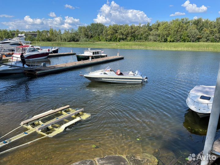 Николь Фаворит