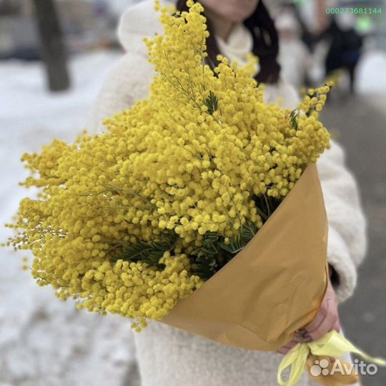Букеты из мимозы (Арт.14604)