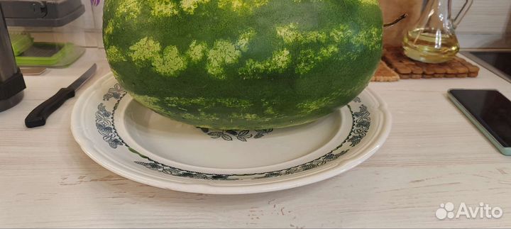 Эмалированное большое блюдо СССР