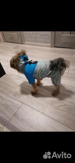 Зимний комбинезон для маленьких собак