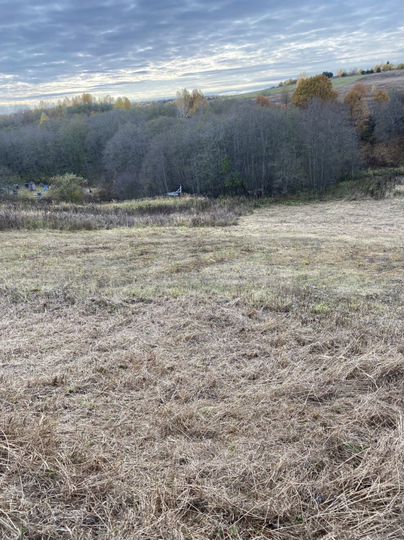 Участок 100 сот. (СНТ, ДНП)