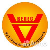 В регистратуру ветеринарной клиники