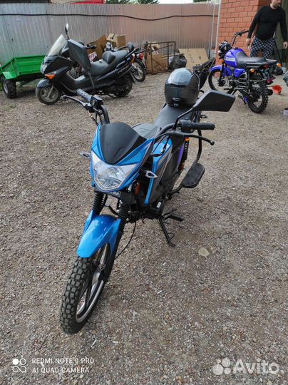 Мопед alpha rs 12 champ