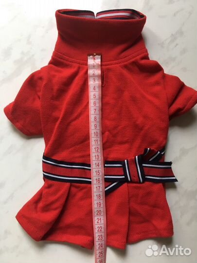 Одежда для собачки