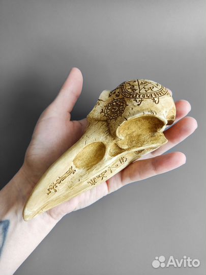 Череп ворона, декор из гипса, алтарный предмет