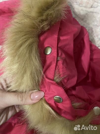 Куртка для собак