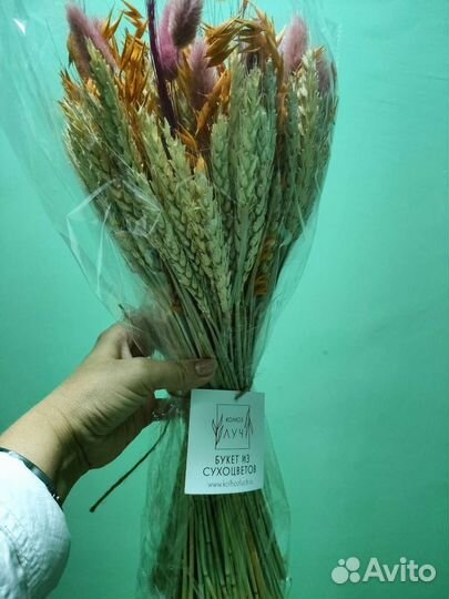 Букет из сухоцветов