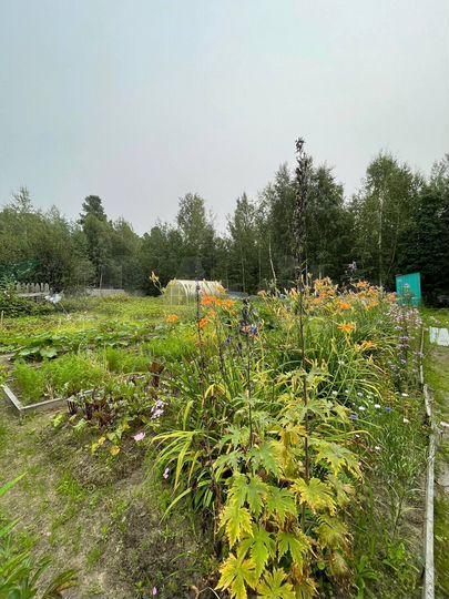 Дом 42 м² на участке 10 сот.