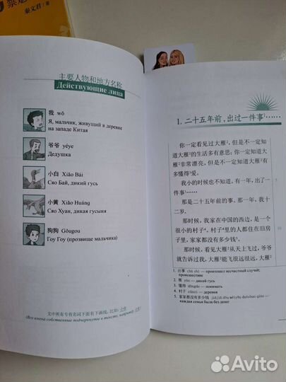 Китайский язык. Рассказы