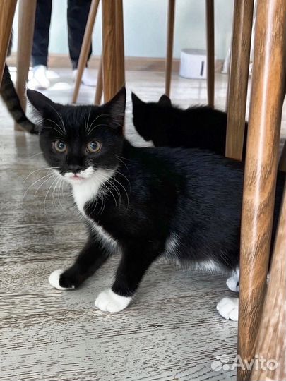 Девочка 4 месяца