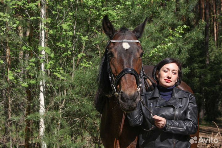 Выгульщик собак и кошек