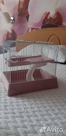 Клетка для джунгарского хомяка