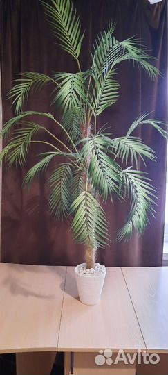 Искусственная пальма