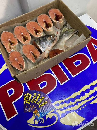 Красная рыба-Кета