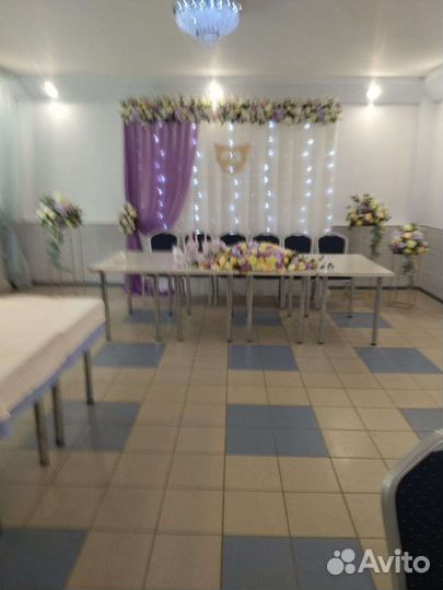 Призидиум,тумбы,цветы