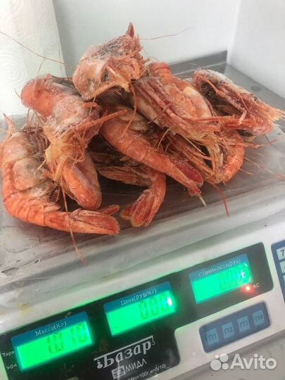 Креветка ботан