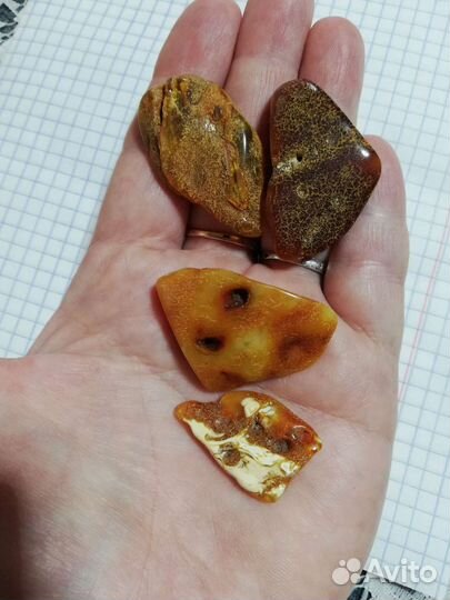 Коллекция янтаря кулоны кабашоны