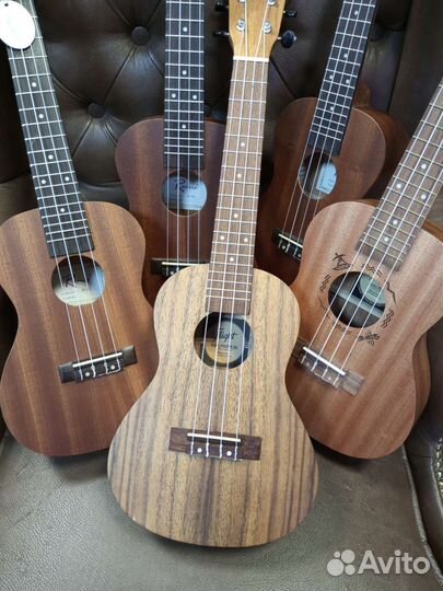 Укулеле концерт