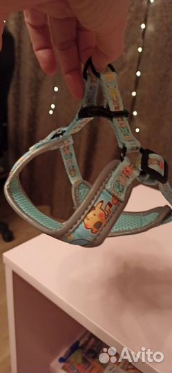 Шлейка для маленькой собаки