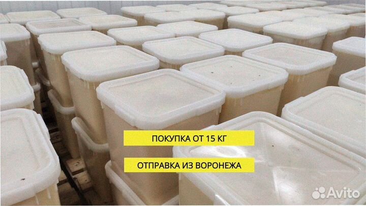 Мед оптом доставка