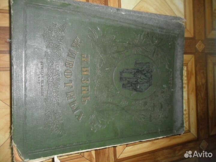 Жизнь животных 1937 год