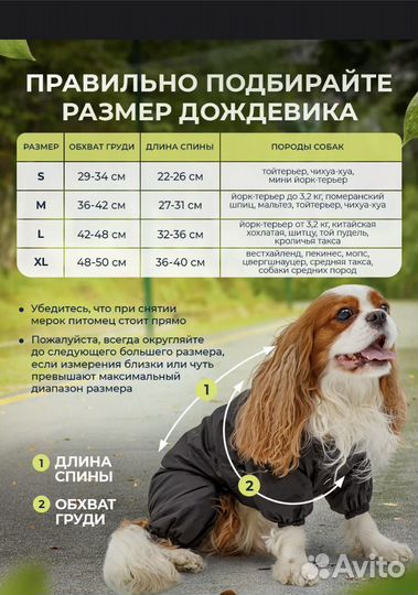 Дождевик для собак