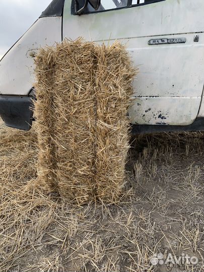 Салома в тюках