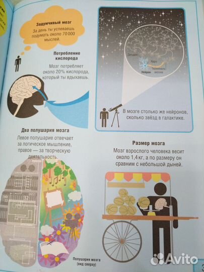 Детские энциклопедии. 