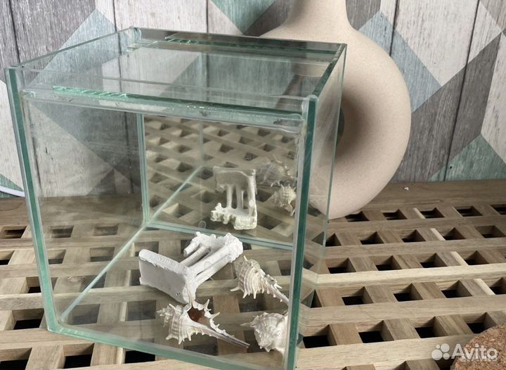 Аквариум с наполнением