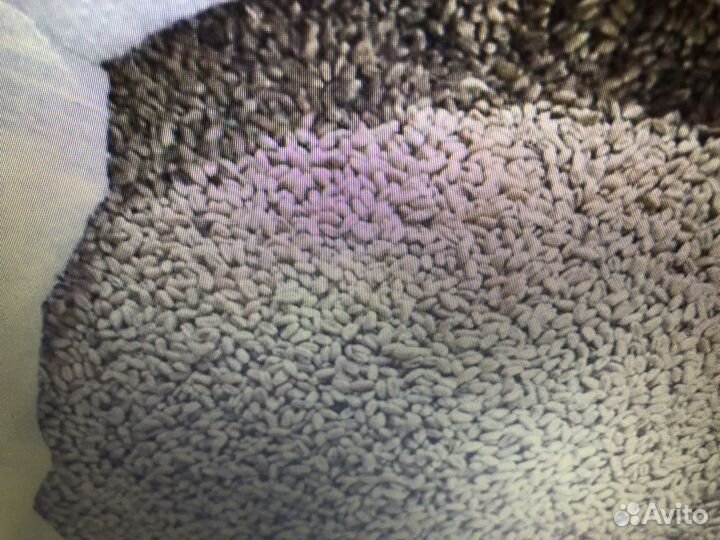 Зернодоставка