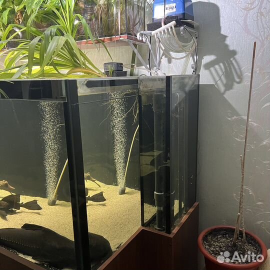 Аквариум