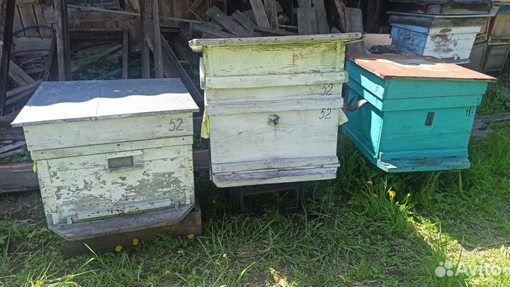 Улей для пчел бу