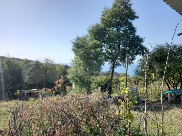 Участок 20 сот. (ИЖС)