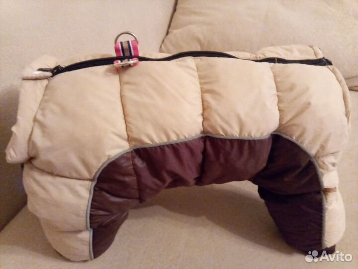 Одежда для средних собак