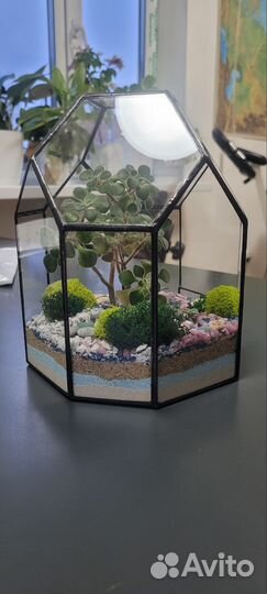 Флорариум подарок ваза