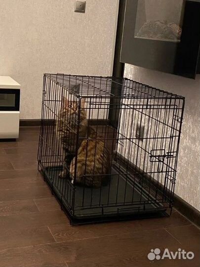 Клетки для собак