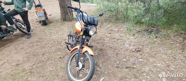 Альфа Рейсер