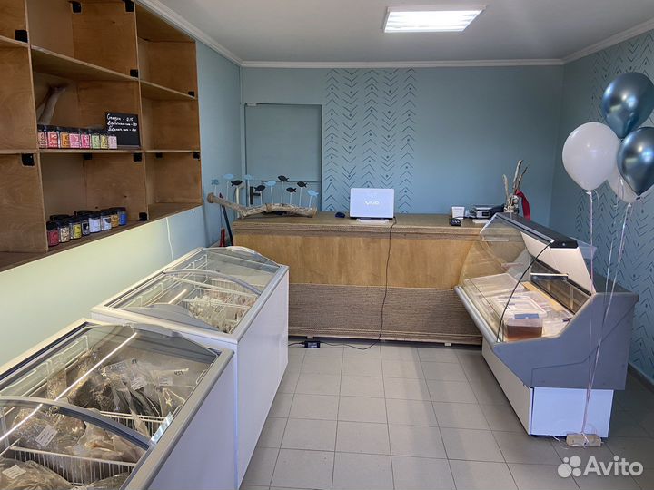 Готовый бизнес (рыбный магазин )