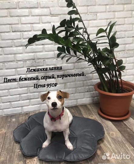 Лежанка домик для собаки