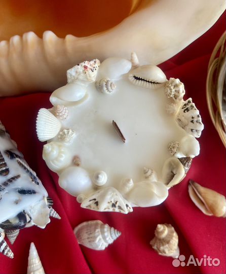 Ароматическая свеча с морскими раковинами