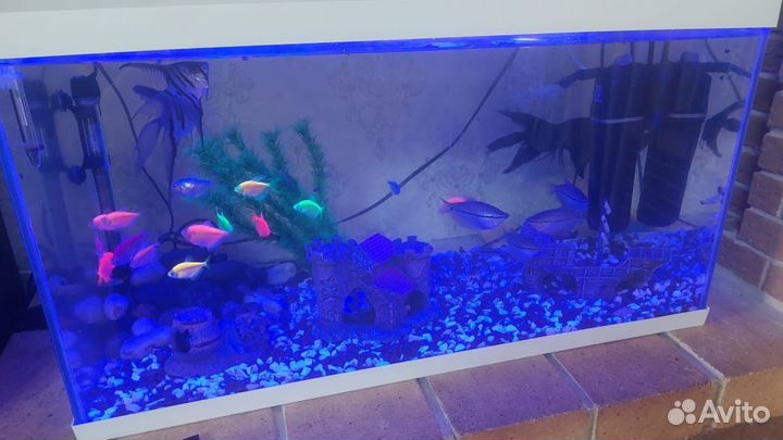 Аквариум (100литров)